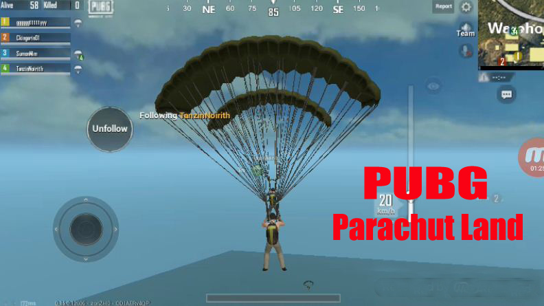 pupu. JPG